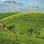 Kerala: God’s Own Country, Truly