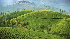 Kerala: God’s Own Country, Truly
